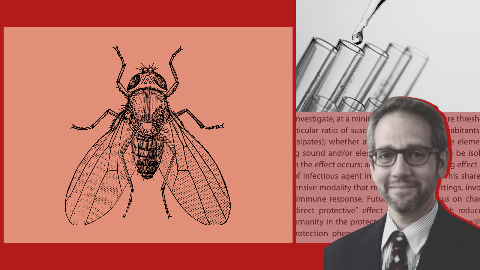 Photos of a fruit fly, test tubes, and Dr. Nathaniel Hupert