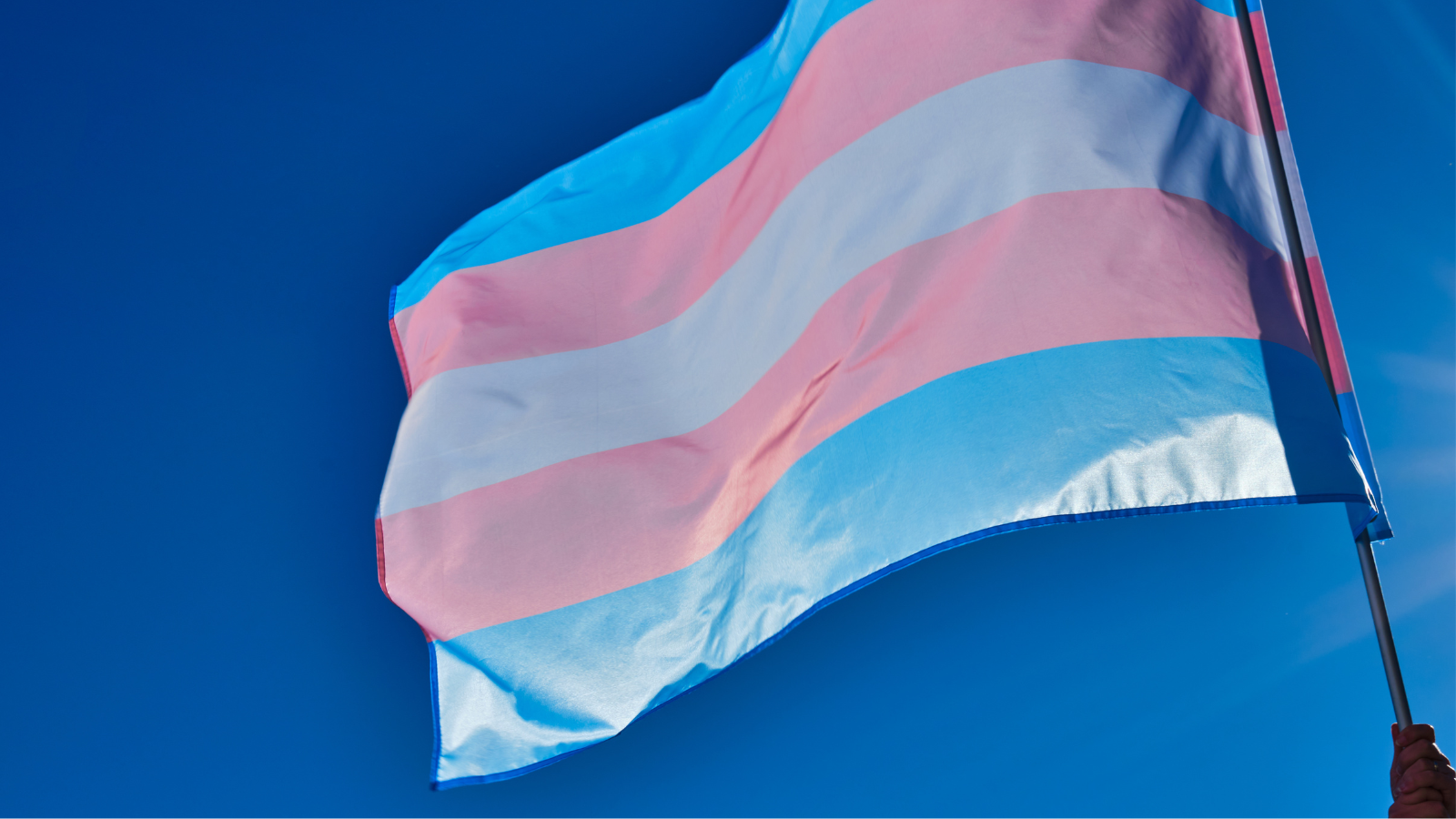 Photo of transgender flag