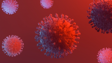 COVID-19 virus depiction