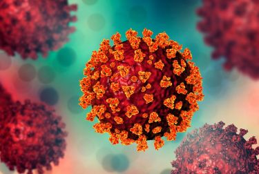 Image of SARS-CoV-2 coronavirus